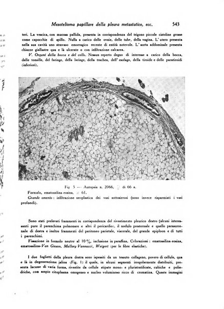 Archivio De Vecchi per l'anatomia patologica e la medicina clinica