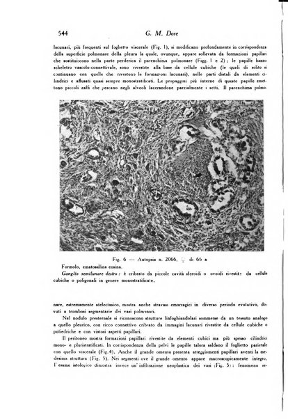 Archivio De Vecchi per l'anatomia patologica e la medicina clinica