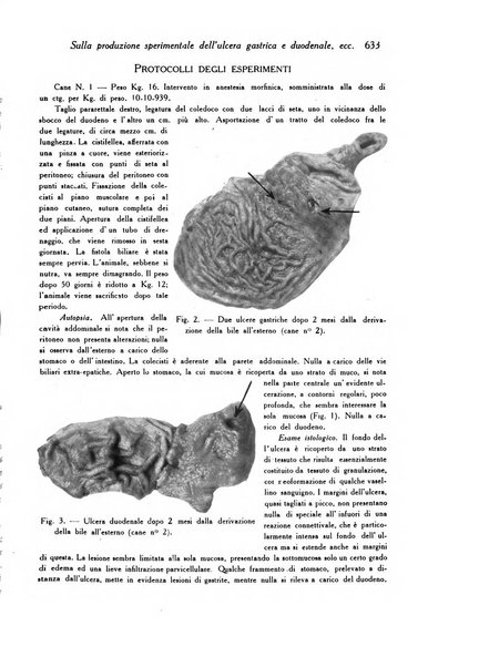 Archivio De Vecchi per l'anatomia patologica e la medicina clinica