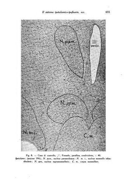 Archivio De Vecchi per l'anatomia patologica e la medicina clinica