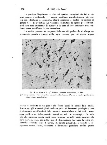 Archivio De Vecchi per l'anatomia patologica e la medicina clinica