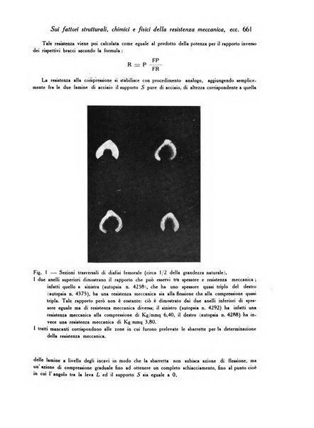 Archivio De Vecchi per l'anatomia patologica e la medicina clinica