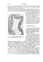 giornale/TO00177004/1939-1940/unico/00000728