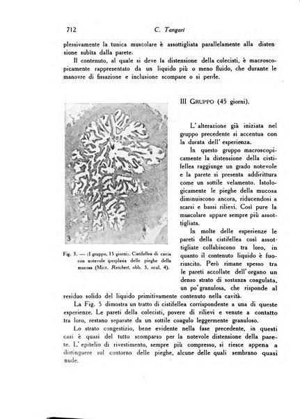 Archivio De Vecchi per l'anatomia patologica e la medicina clinica