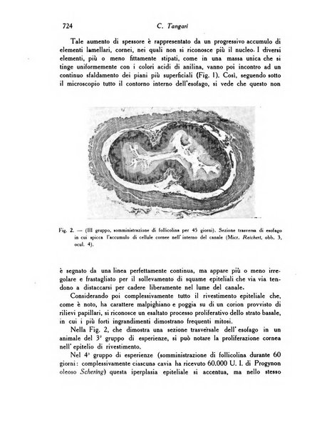 Archivio De Vecchi per l'anatomia patologica e la medicina clinica