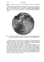 giornale/TO00177004/1939-1940/unico/00000754