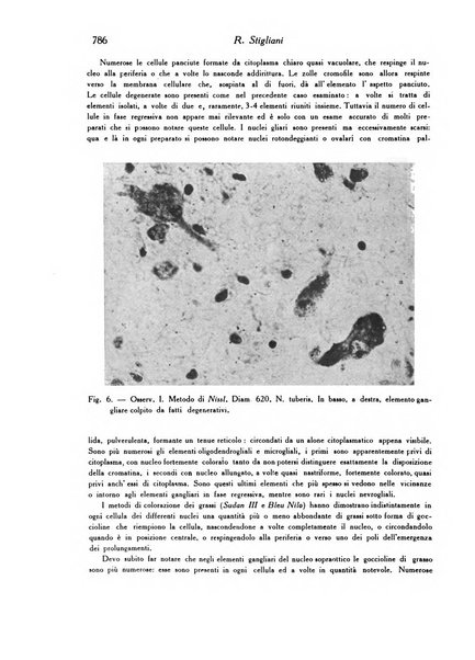 Archivio De Vecchi per l'anatomia patologica e la medicina clinica