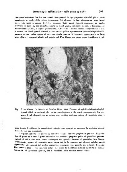 Archivio De Vecchi per l'anatomia patologica e la medicina clinica