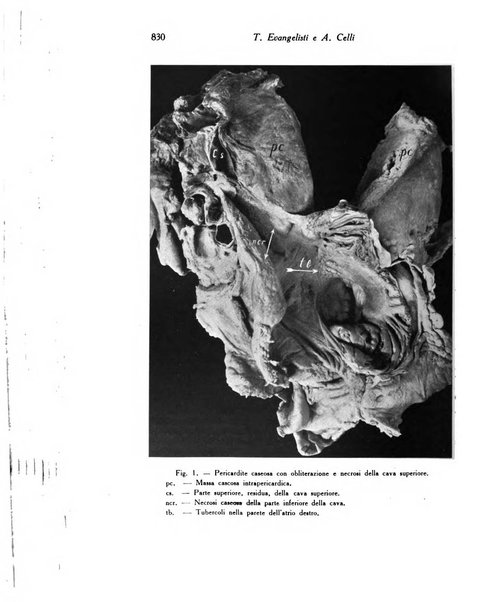 Archivio De Vecchi per l'anatomia patologica e la medicina clinica