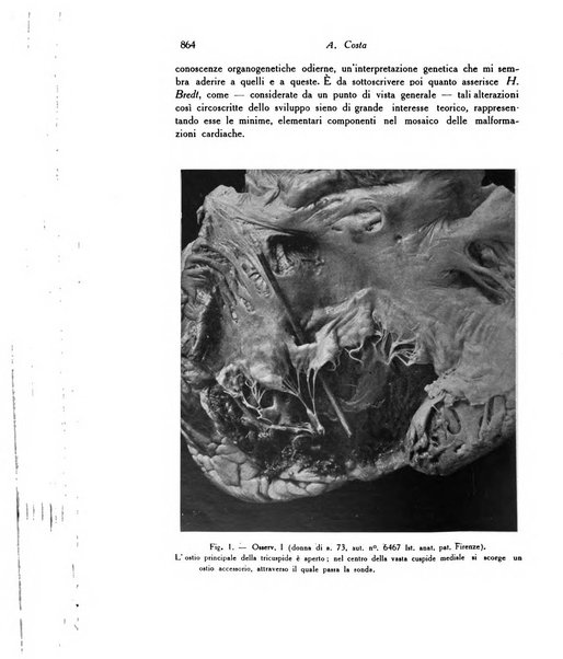 Archivio De Vecchi per l'anatomia patologica e la medicina clinica