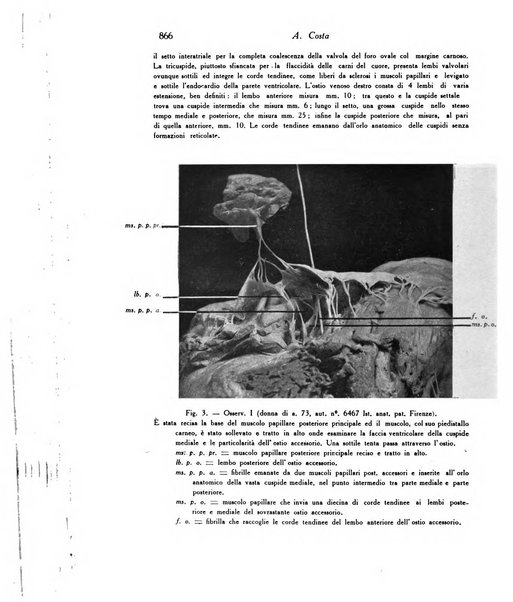 Archivio De Vecchi per l'anatomia patologica e la medicina clinica