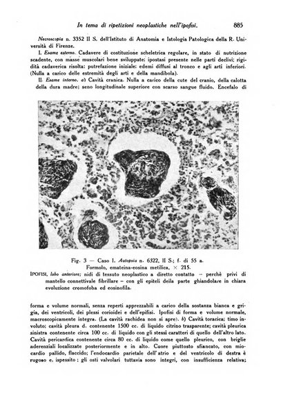 Archivio De Vecchi per l'anatomia patologica e la medicina clinica