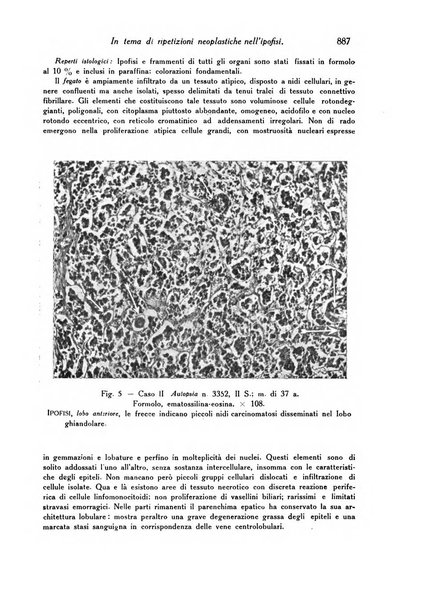 Archivio De Vecchi per l'anatomia patologica e la medicina clinica