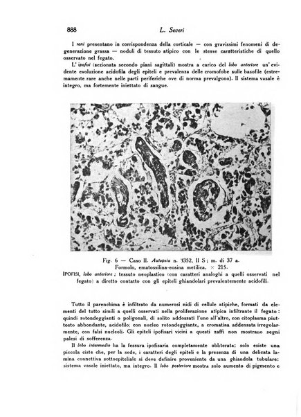 Archivio De Vecchi per l'anatomia patologica e la medicina clinica