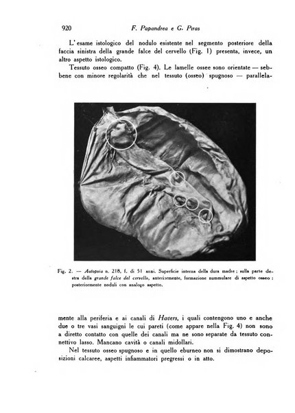 Archivio De Vecchi per l'anatomia patologica e la medicina clinica