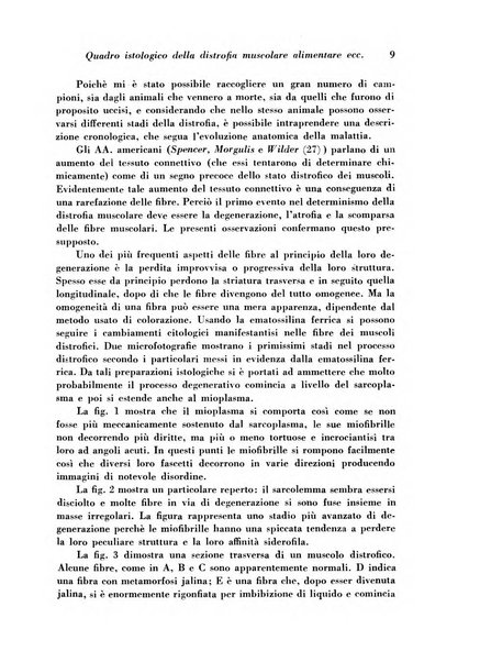 Archivio De Vecchi per l'anatomia patologica e la medicina clinica