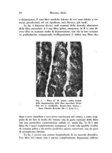 Archivio De Vecchi per l'anatomia patologica e la medicina clinica