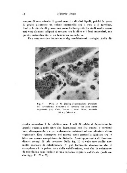 Archivio De Vecchi per l'anatomia patologica e la medicina clinica