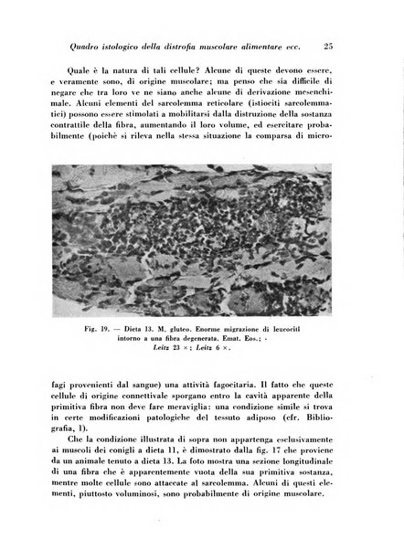 Archivio De Vecchi per l'anatomia patologica e la medicina clinica