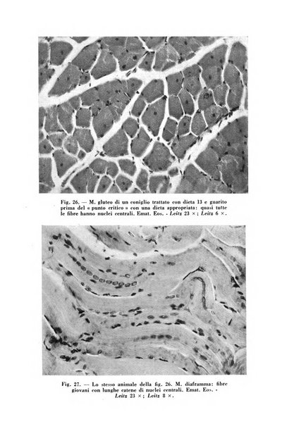 Archivio De Vecchi per l'anatomia patologica e la medicina clinica