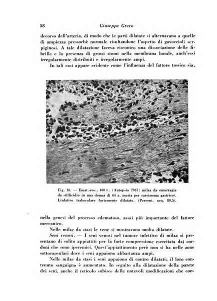 Archivio De Vecchi per l'anatomia patologica e la medicina clinica