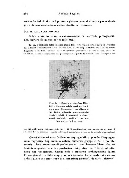 Archivio De Vecchi per l'anatomia patologica e la medicina clinica