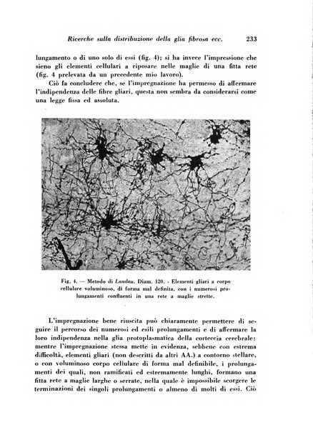 Archivio De Vecchi per l'anatomia patologica e la medicina clinica