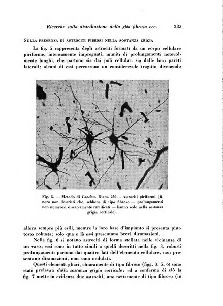 Archivio De Vecchi per l'anatomia patologica e la medicina clinica