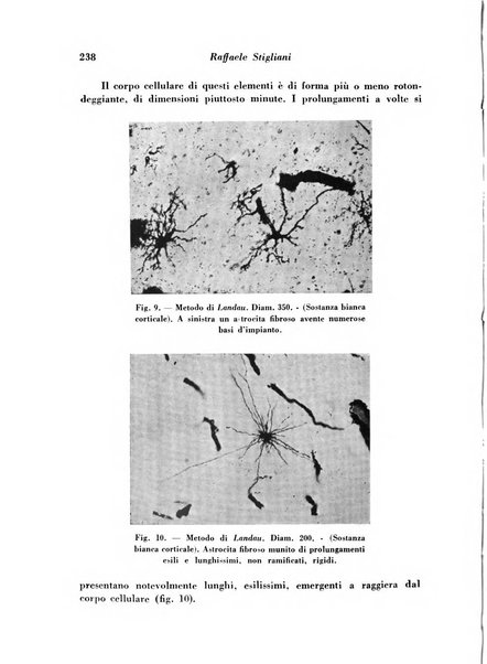 Archivio De Vecchi per l'anatomia patologica e la medicina clinica