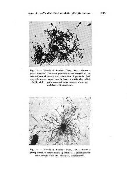 Archivio De Vecchi per l'anatomia patologica e la medicina clinica