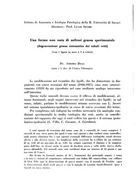 Archivio De Vecchi per l'anatomia patologica e la medicina clinica