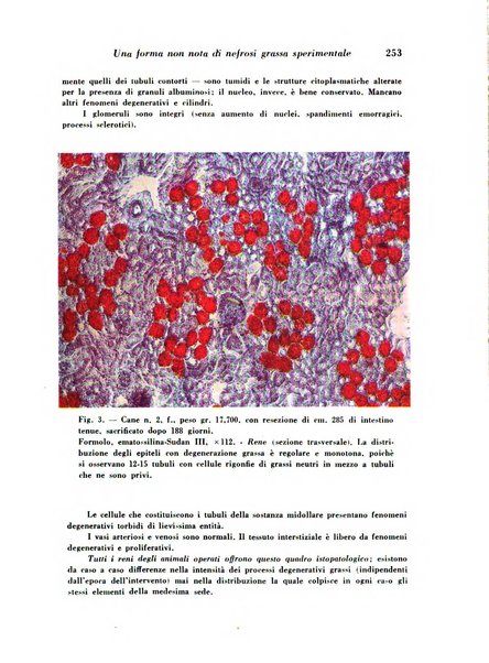 Archivio De Vecchi per l'anatomia patologica e la medicina clinica