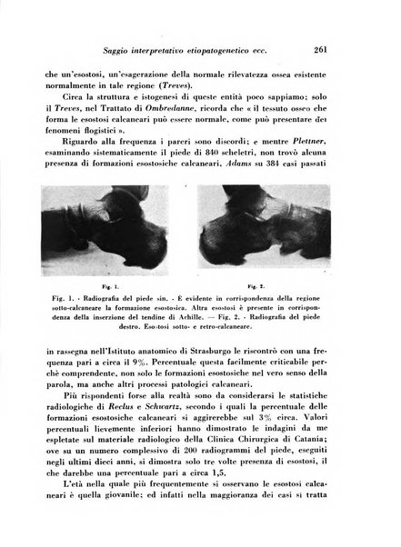 Archivio De Vecchi per l'anatomia patologica e la medicina clinica