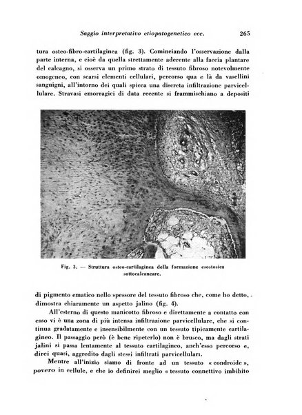 Archivio De Vecchi per l'anatomia patologica e la medicina clinica