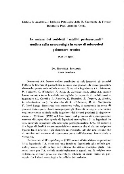 Archivio De Vecchi per l'anatomia patologica e la medicina clinica