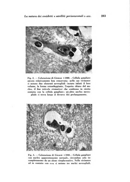 Archivio De Vecchi per l'anatomia patologica e la medicina clinica