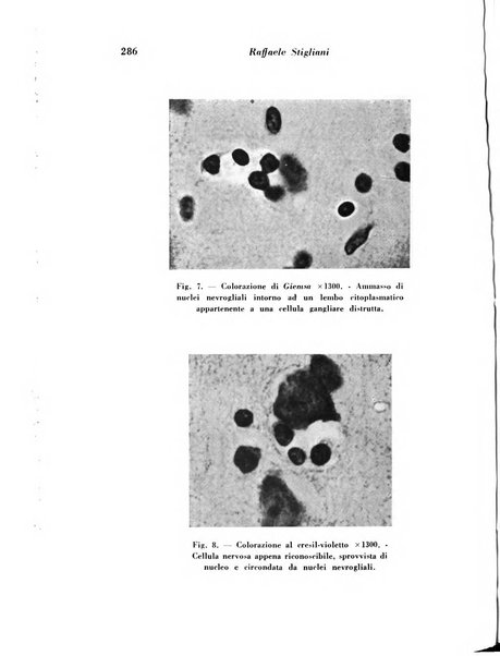 Archivio De Vecchi per l'anatomia patologica e la medicina clinica