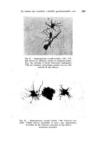 Archivio De Vecchi per l'anatomia patologica e la medicina clinica