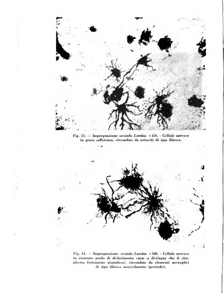 Archivio De Vecchi per l'anatomia patologica e la medicina clinica