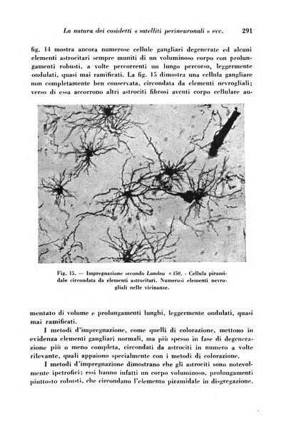 Archivio De Vecchi per l'anatomia patologica e la medicina clinica