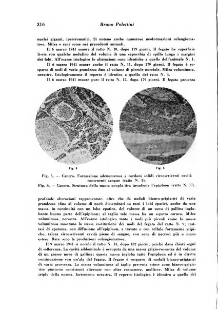 Archivio De Vecchi per l'anatomia patologica e la medicina clinica