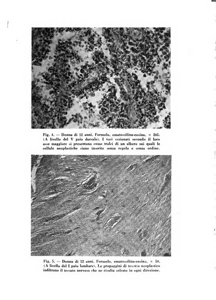 Archivio De Vecchi per l'anatomia patologica e la medicina clinica