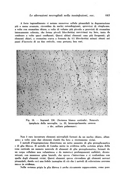 Archivio De Vecchi per l'anatomia patologica e la medicina clinica