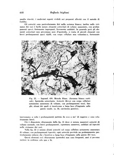 Archivio De Vecchi per l'anatomia patologica e la medicina clinica