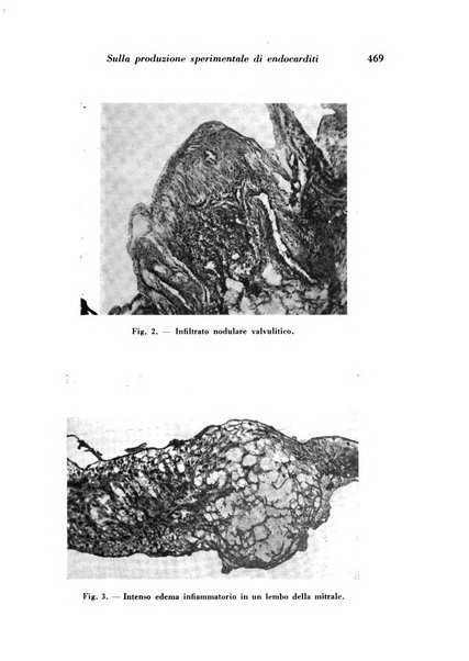 Archivio De Vecchi per l'anatomia patologica e la medicina clinica