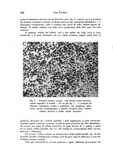 Archivio De Vecchi per l'anatomia patologica e la medicina clinica