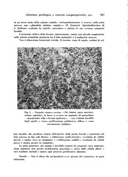 Archivio De Vecchi per l'anatomia patologica e la medicina clinica