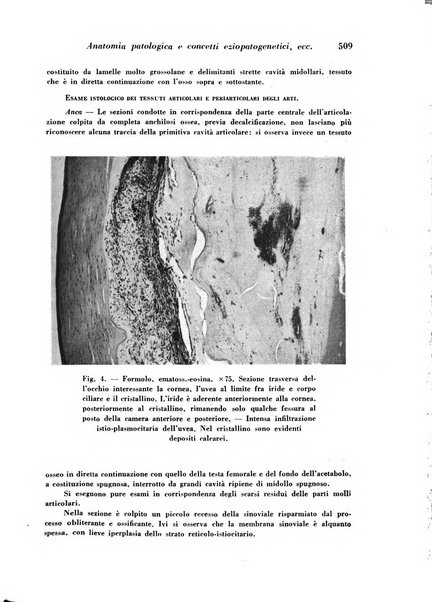 Archivio De Vecchi per l'anatomia patologica e la medicina clinica