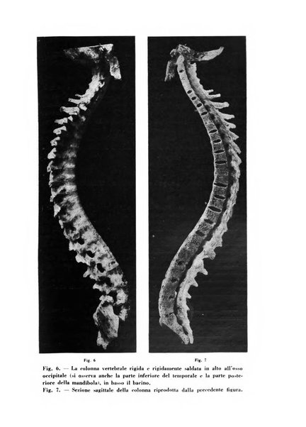 Archivio De Vecchi per l'anatomia patologica e la medicina clinica