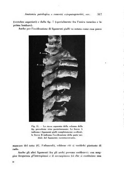 Archivio De Vecchi per l'anatomia patologica e la medicina clinica